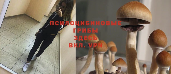твердый Белокуриха