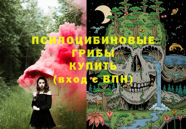2c-b Белоозёрский