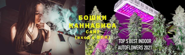 твердый Белокуриха