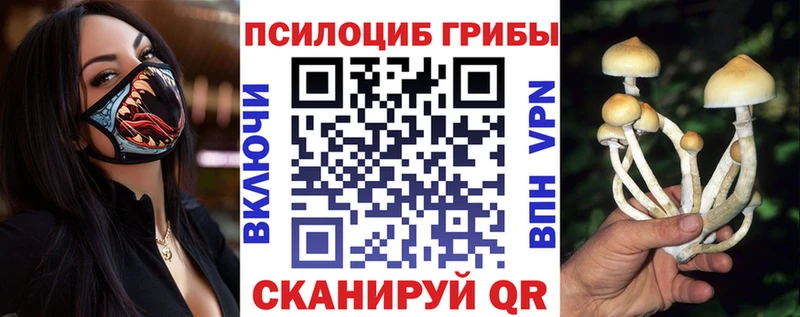 Галлюциногенные грибы Cubensis  hydra ссылка  Рыбинск 